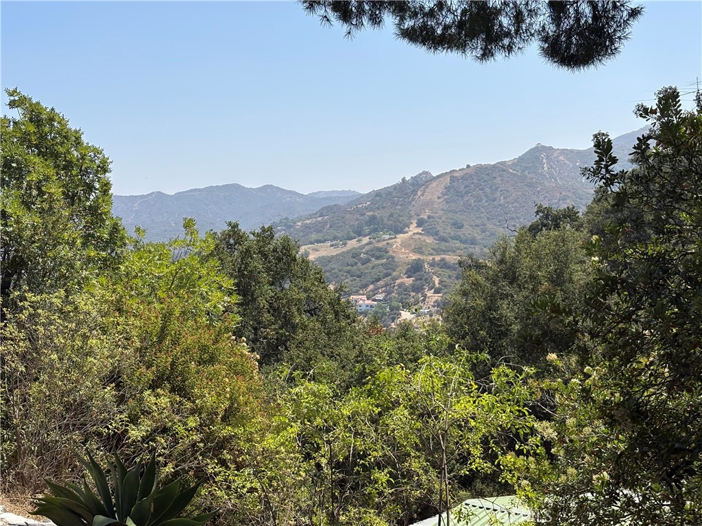 21313 Hillside Property Photo 3