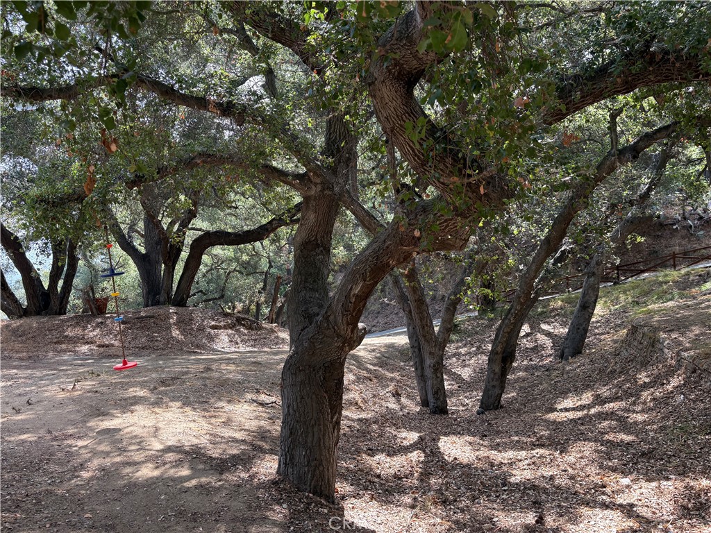 21313 Hillside Property Photo 14