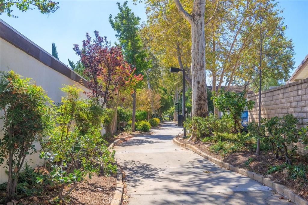 23534 Via Castanet Property Photo 46