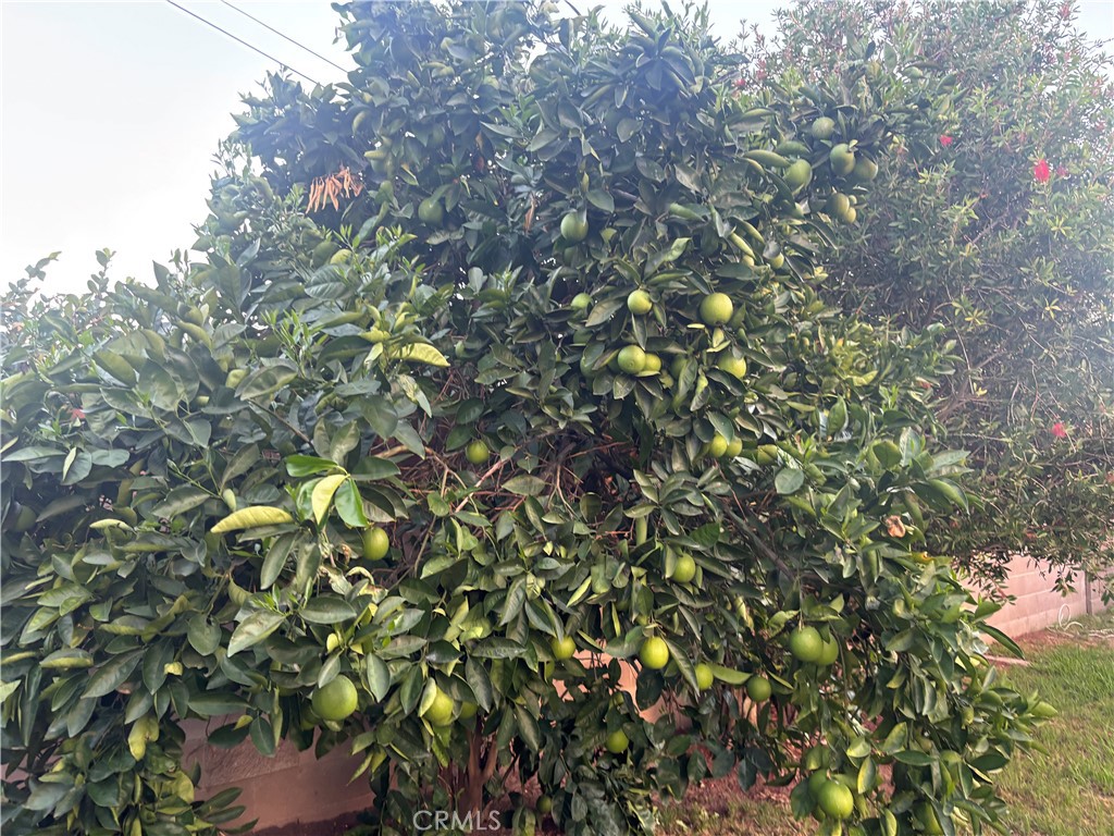 23453 Mobile Property Photo 17