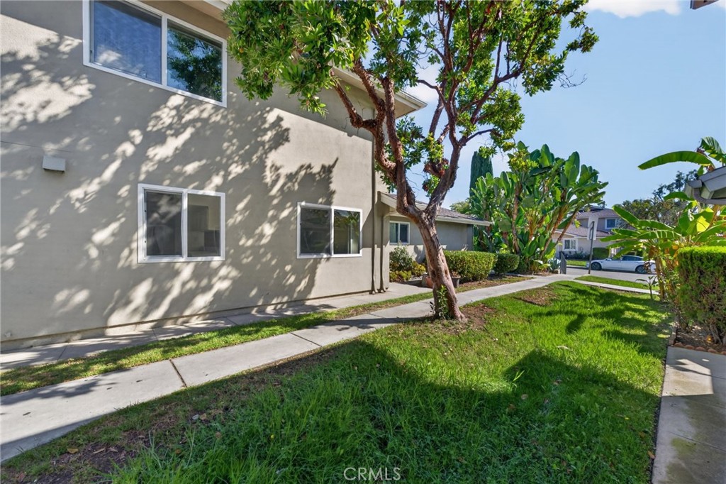 672 Avenida Del Platino Property Photo 4