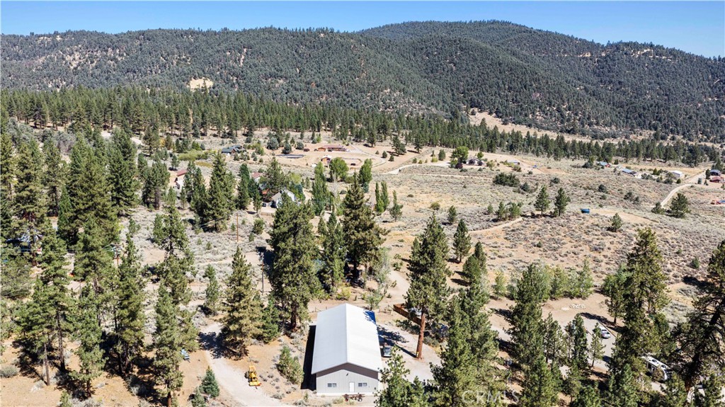 11753 Tanglefoot Lane Property Photo 4