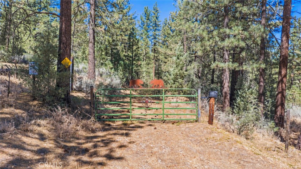 11753 Tanglefoot Lane Property Photo 6
