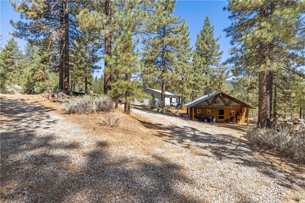11753 Tanglefoot Lane Property Photo 7