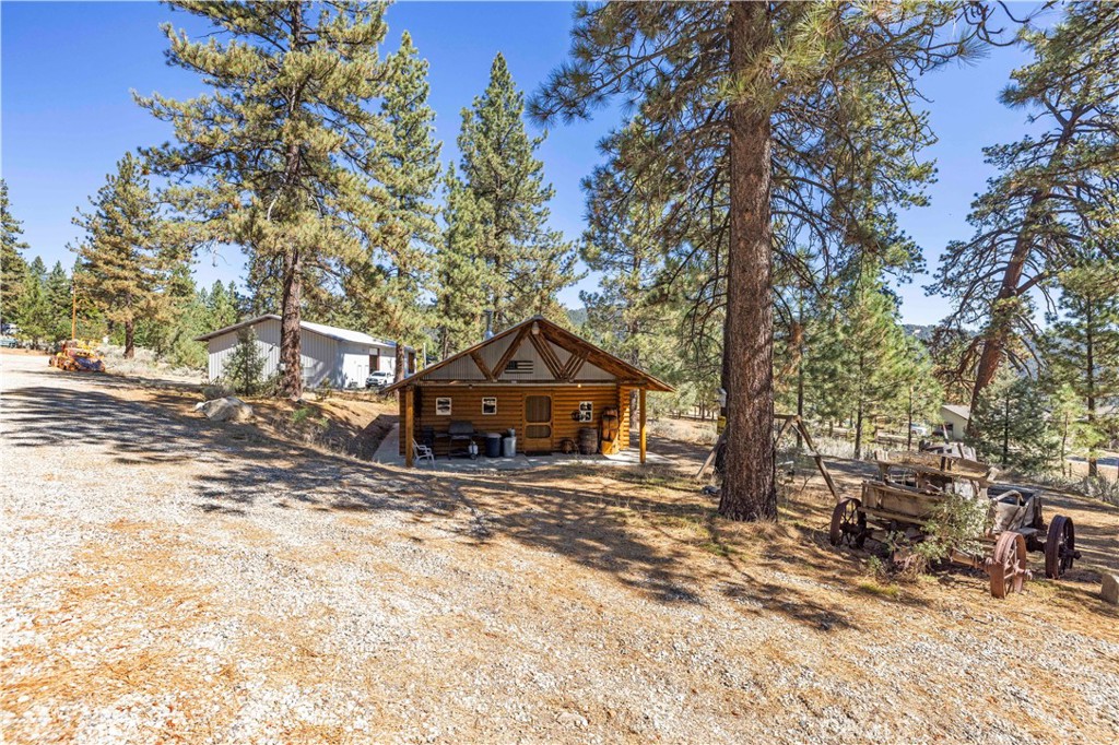 11753 Tanglefoot Lane Property Photo 8