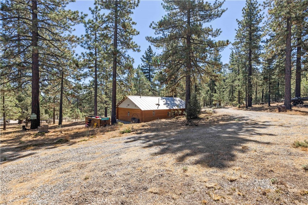 11753 Tanglefoot Lane Property Photo 32