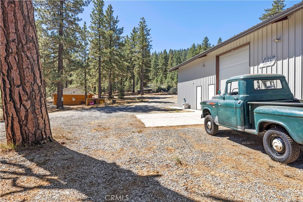 11753 Tanglefoot Lane Property Photo 38