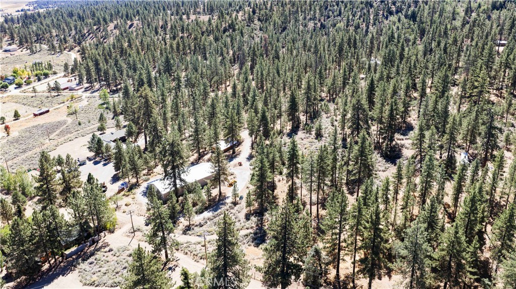 11753 Tanglefoot Lane Property Photo 61