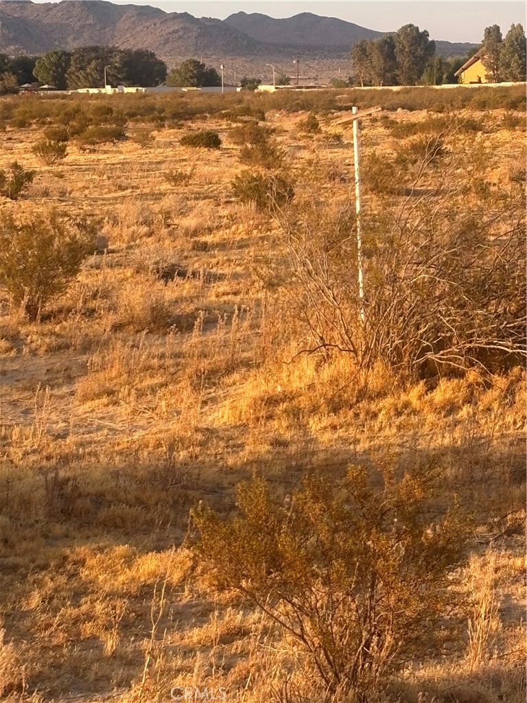 0 235 Property Photo 20