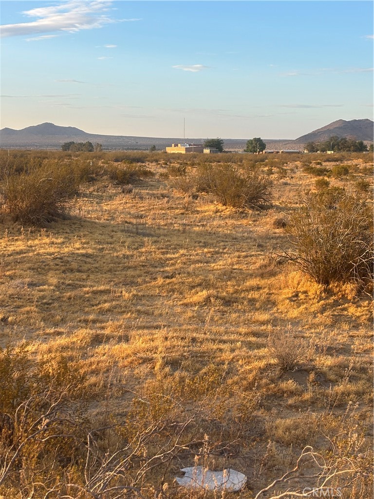 0 235 Property Photo 21