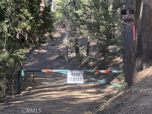 0 Last Chance Mine Road Property Photo 1