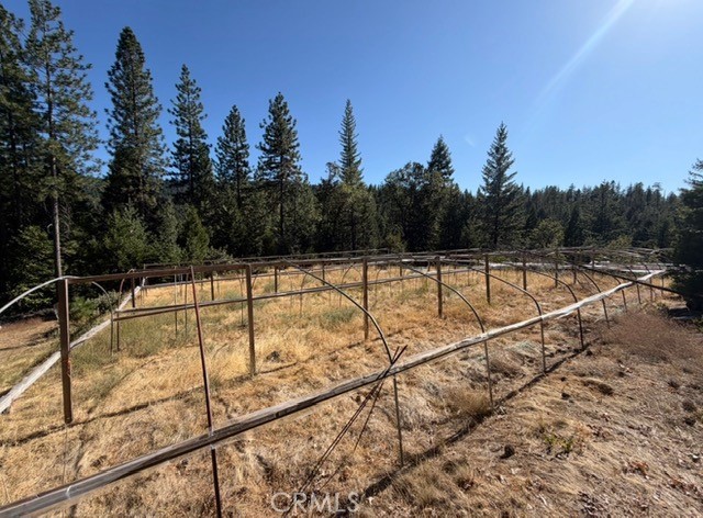 0 Last Chance Mine Road Property Photo 11