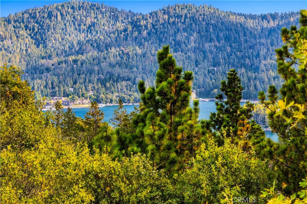 1216 Kodiak Property Photo 4