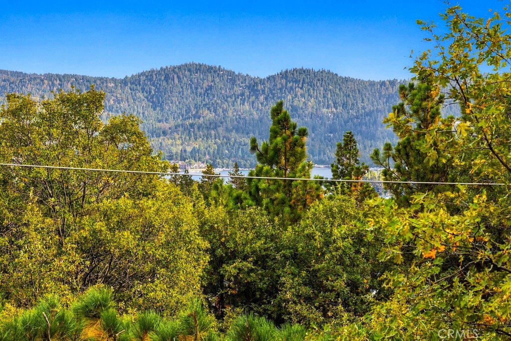 1216 Kodiak Property Photo 7