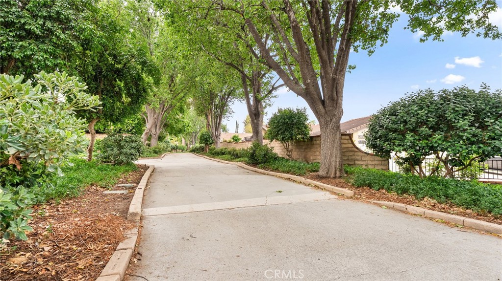 25651 Ramada Property Photo 25