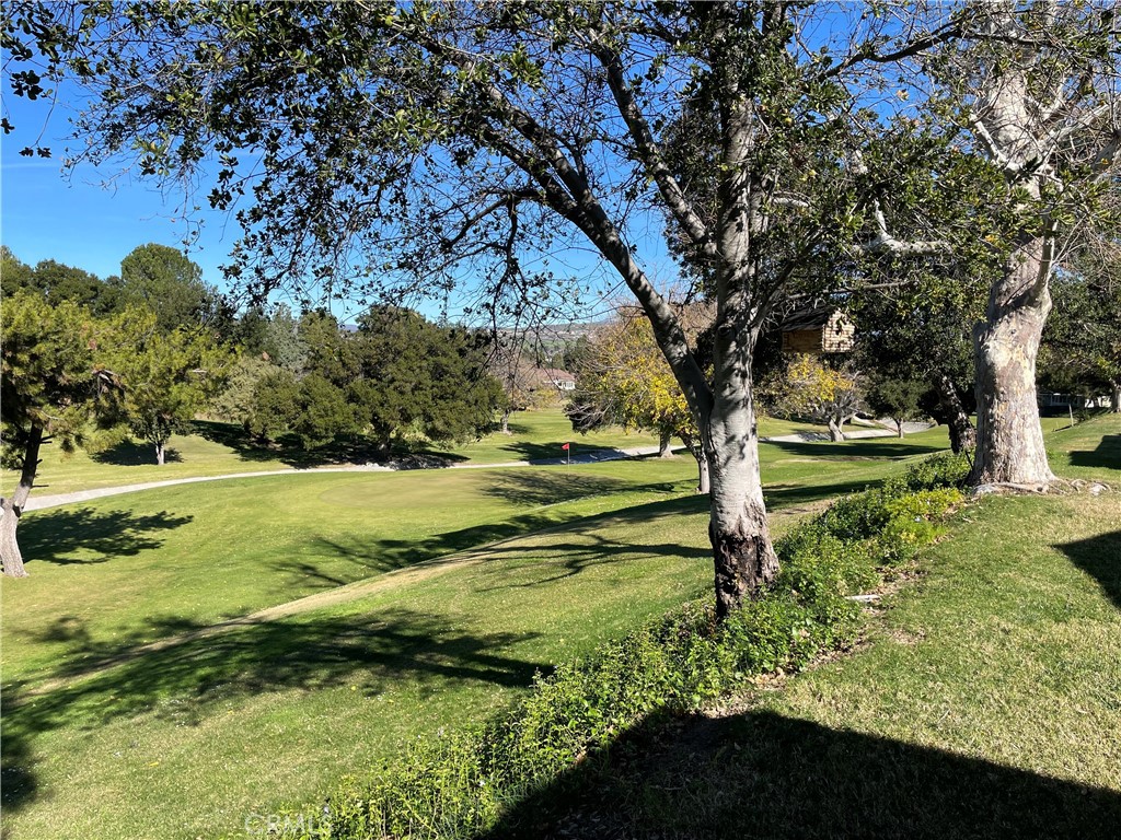 19228 B Avenue Of The Oaks Property Photo 36