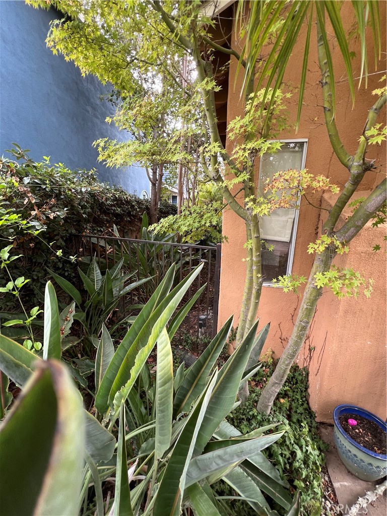 11919 Bubbling Brook Property Photo 13