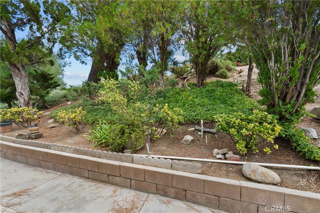 26734 Winsome Circle Property Photo 31