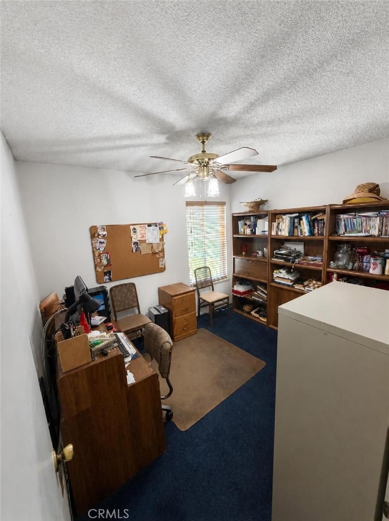 25142 Madeira Property Photo 17