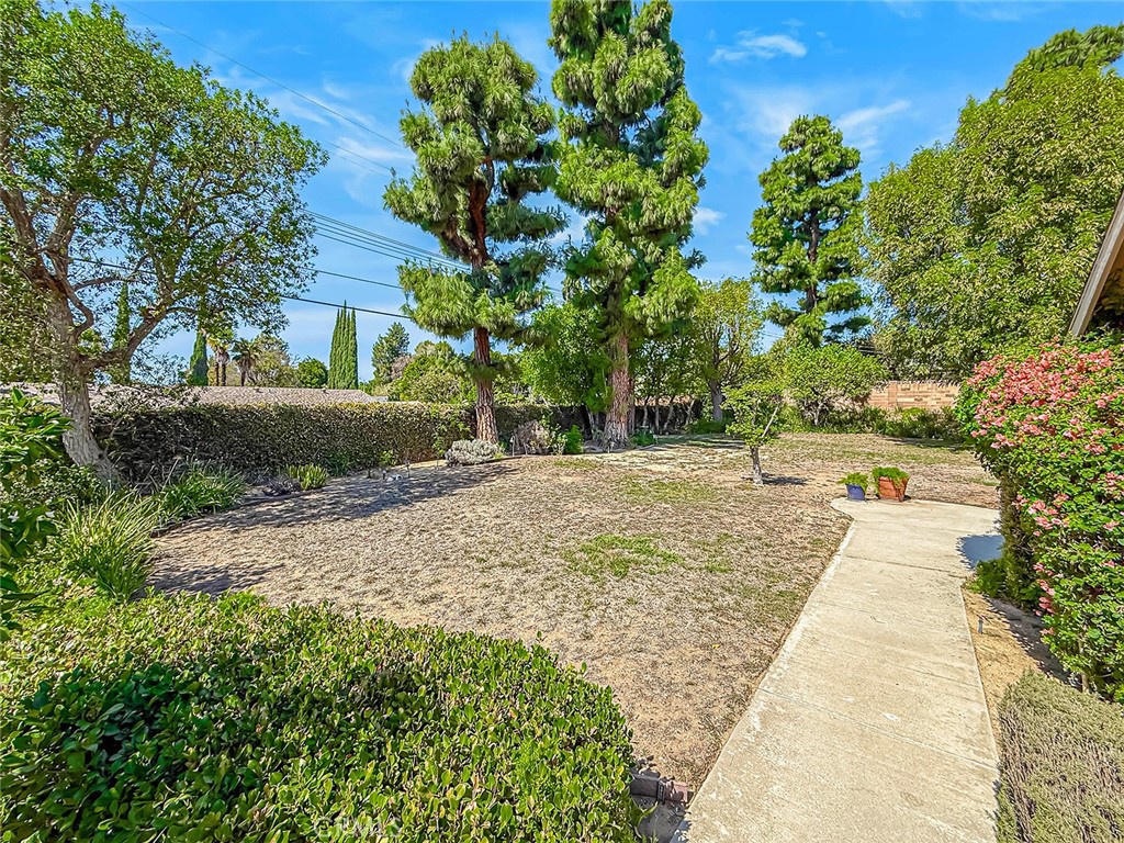 9525 Encino Property Photo 54