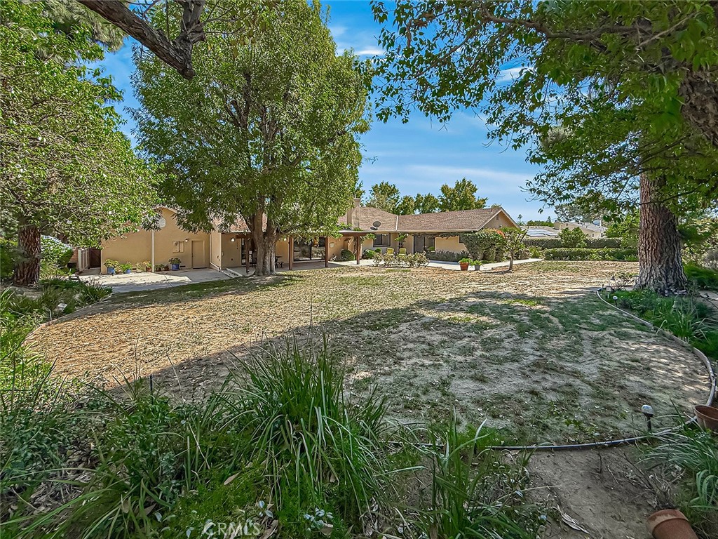 9525 Encino Property Photo 58