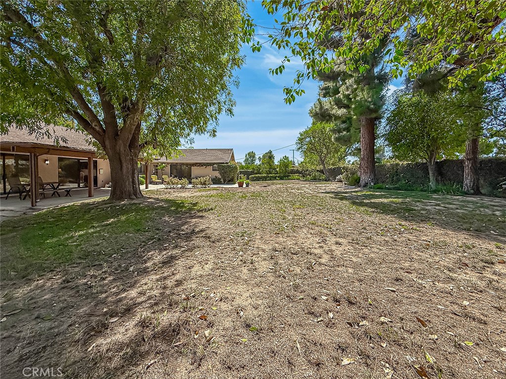 9525 Encino Property Photo 59