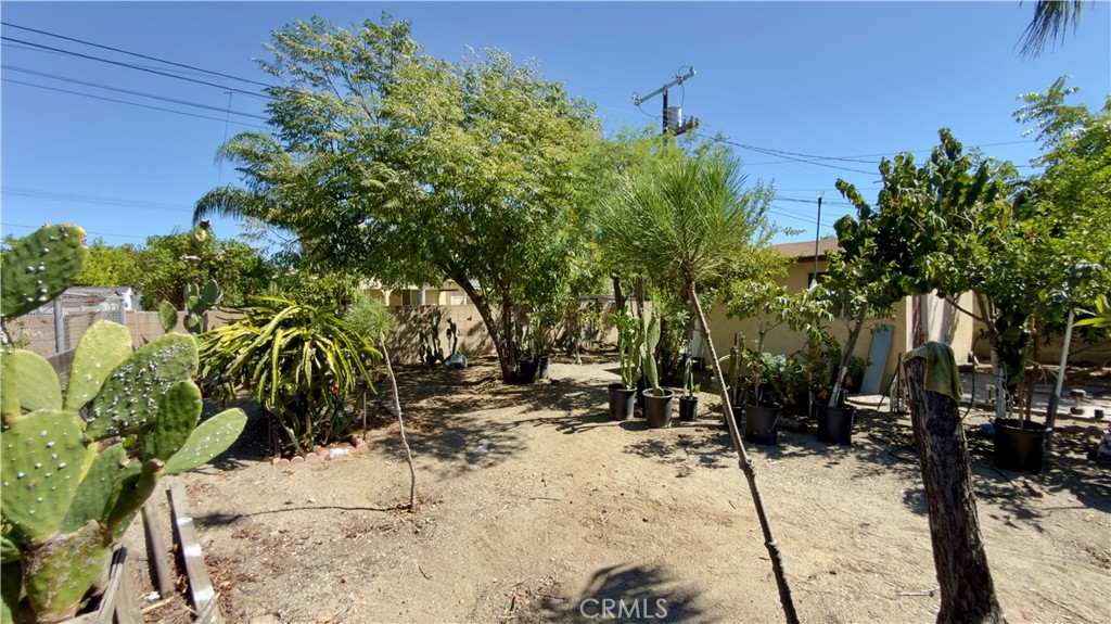 10416 Cayuga Property Photo 21