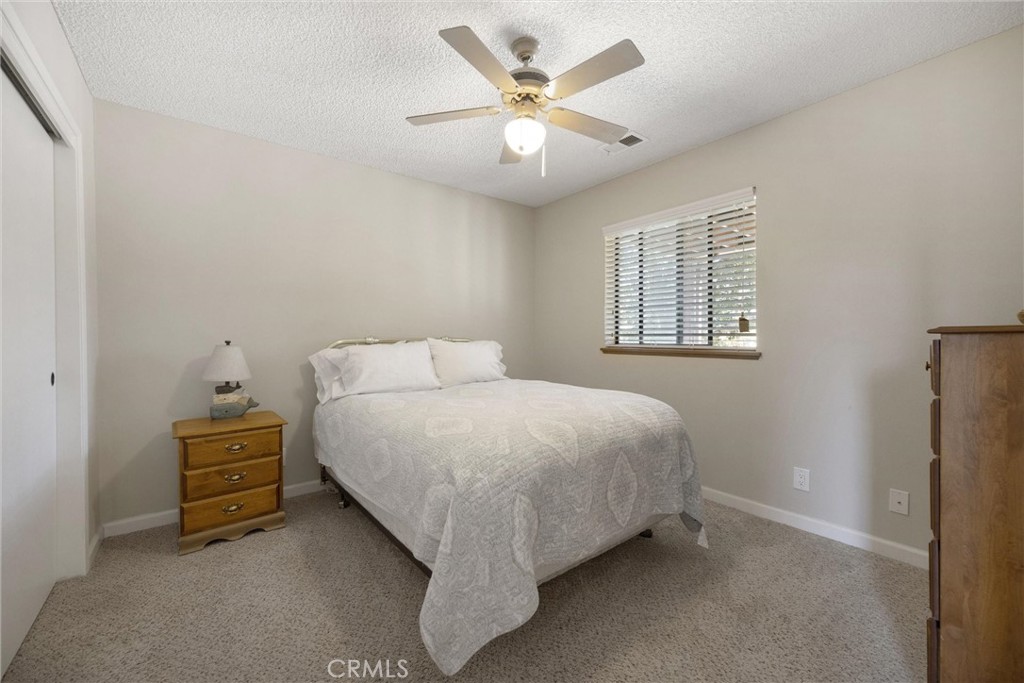 30341 Pinedale Property Photo 31