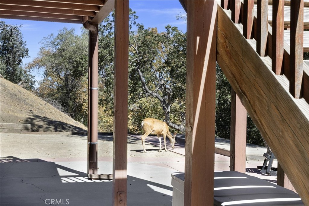 30341 Pinedale Property Photo 40