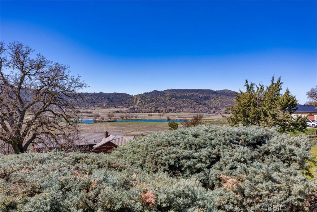 23841 Dart Property Photo 53