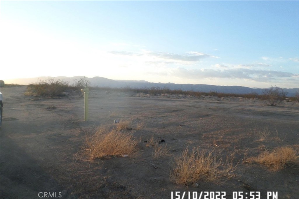 0 Jimson Avenue Property Photo 2