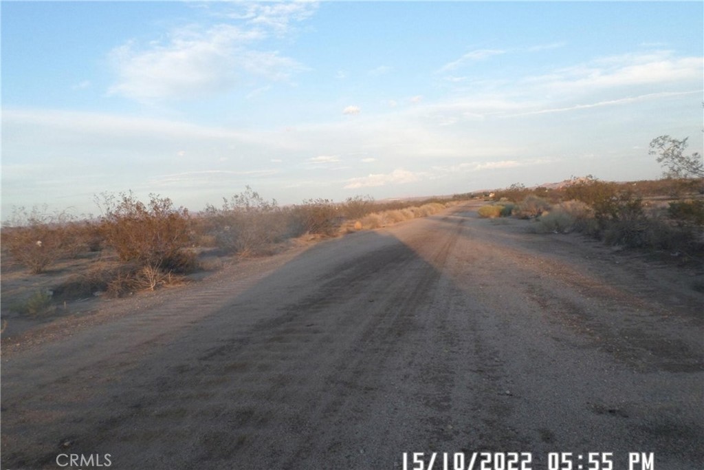 0 Jimson Avenue Property Photo 3