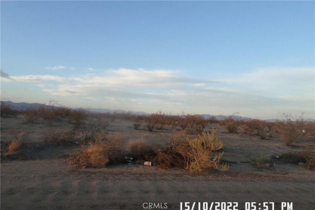 0 Jimson Avenue Property Photo 4