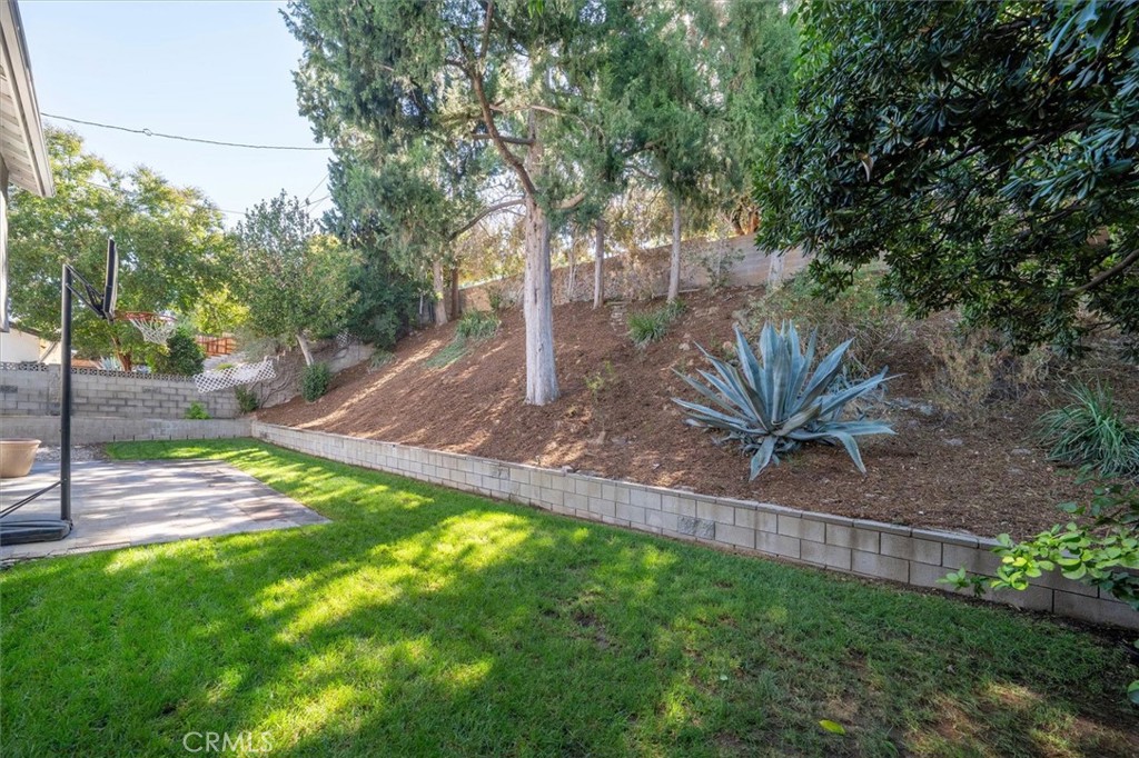 23842 Daisetta Drive Property Photo 30