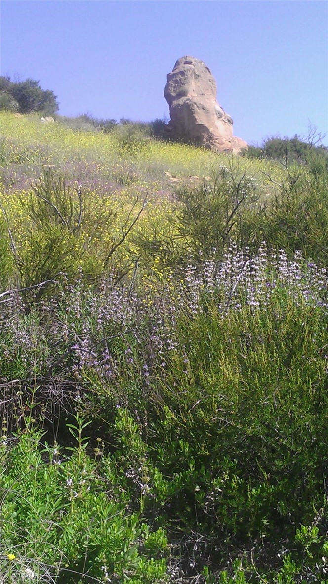 8742 Azul Property Photo 27