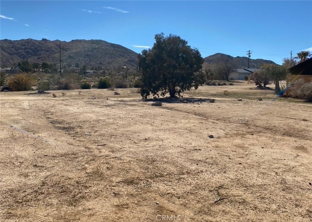 60450 Alta Mesa Drive Property Photo 5