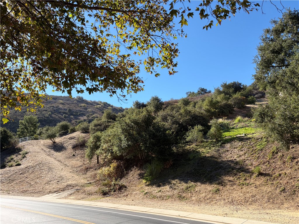 220 Bell Canyon Property Photo 2