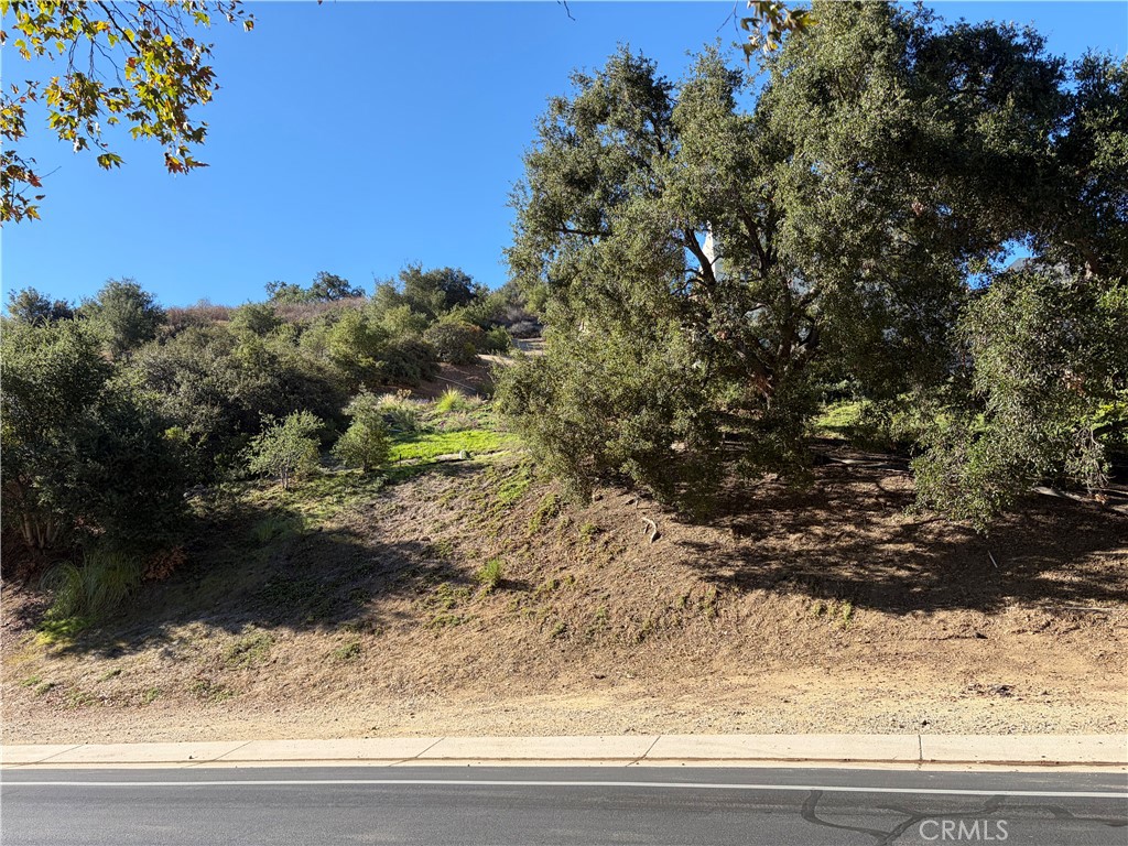 220 Bell Canyon Property Photo 3