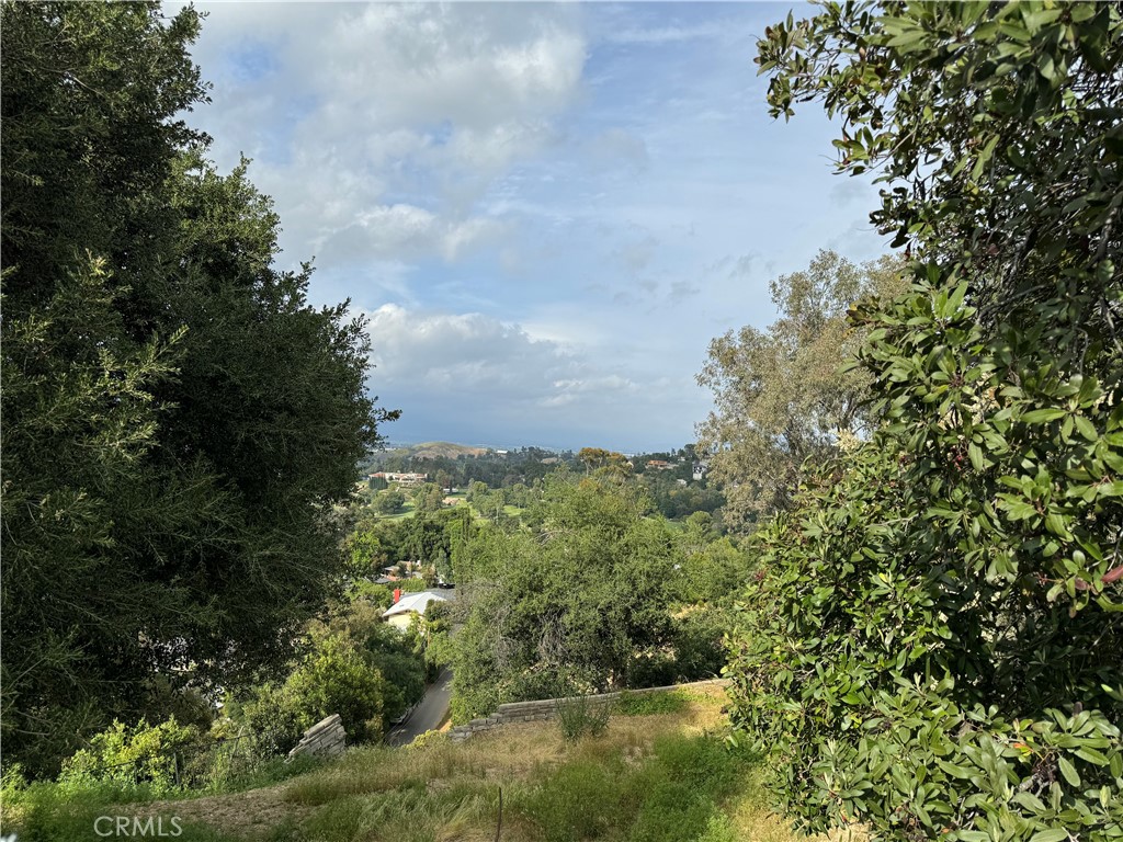 4540 San Blass Avenue Property Photo 6