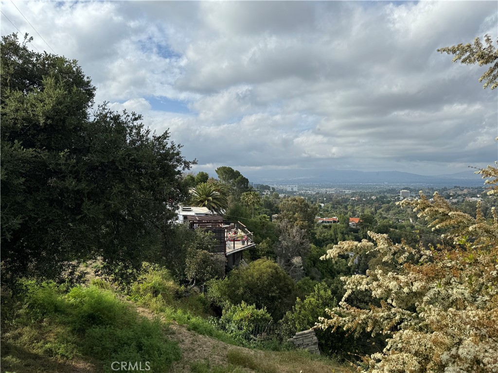 4540 San Blass Avenue Property Photo 8