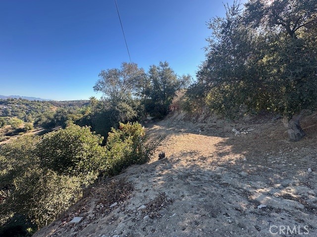 4540 San Blass Avenue Property Photo 18