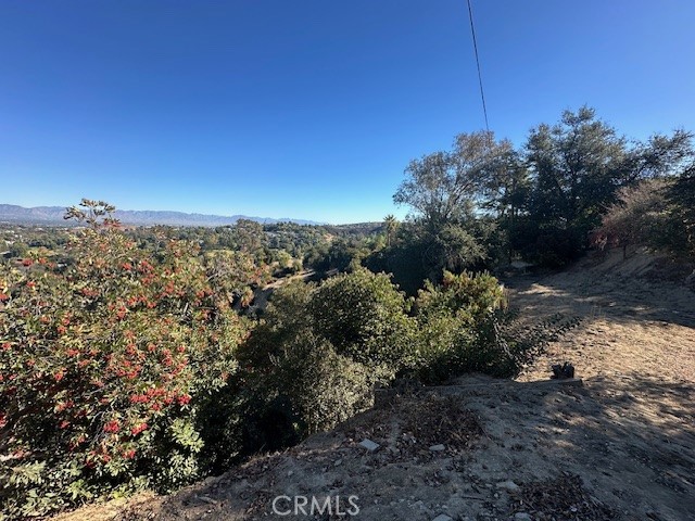 4540 San Blass Avenue Property Photo 19