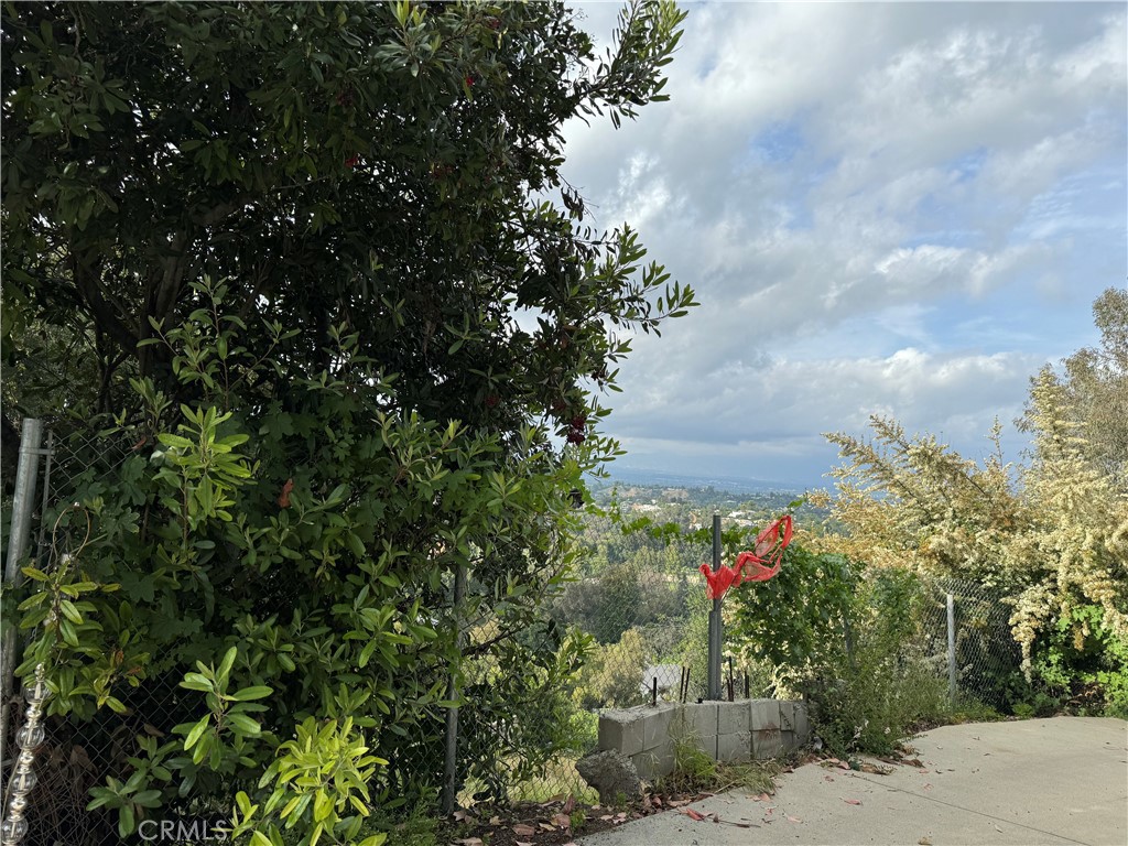 4540 San Blass Avenue Property Photo 21