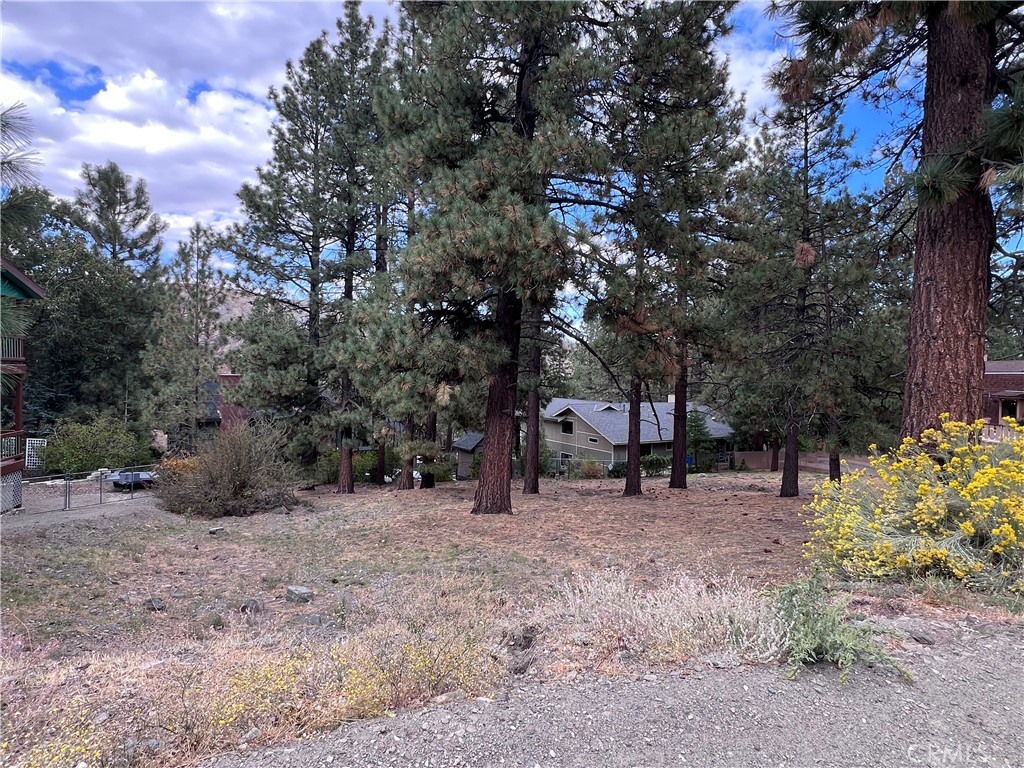 0 Timberline Dr Lot 13 Property Photo 2