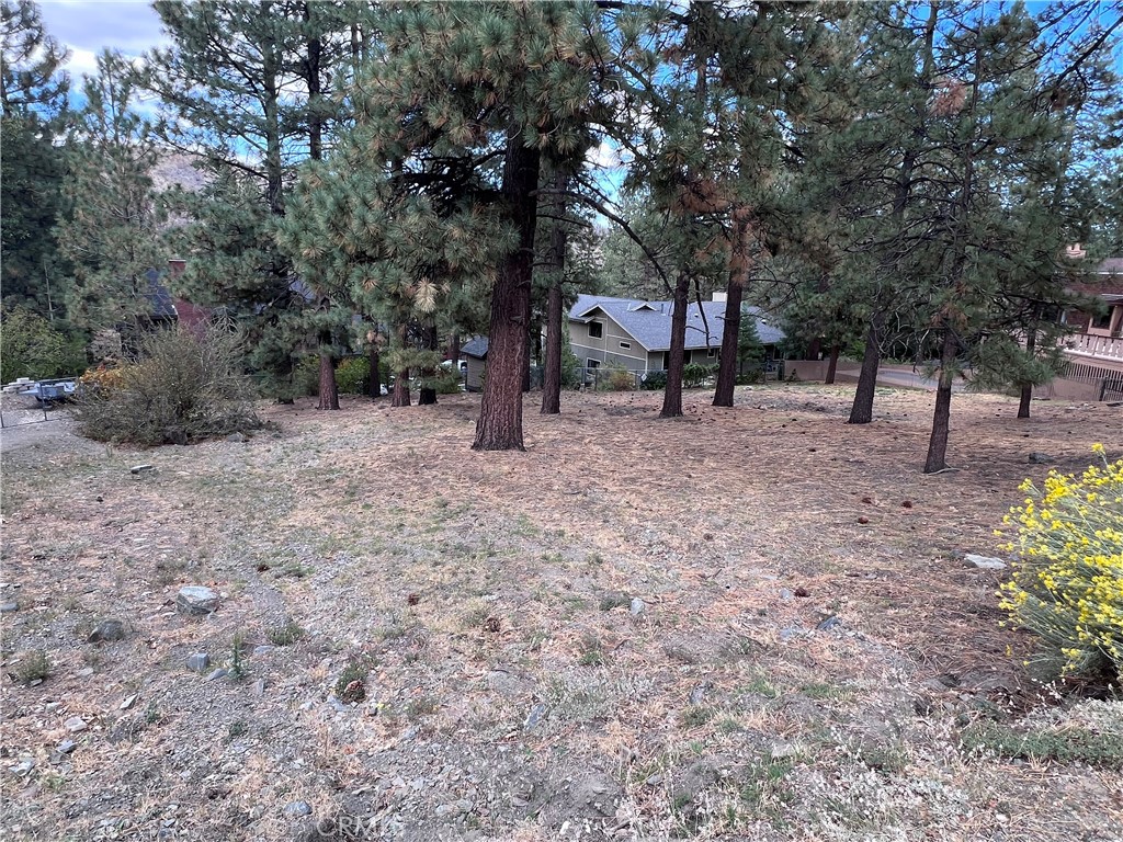 0 Timberline Dr Lot 13 Property Photo 3