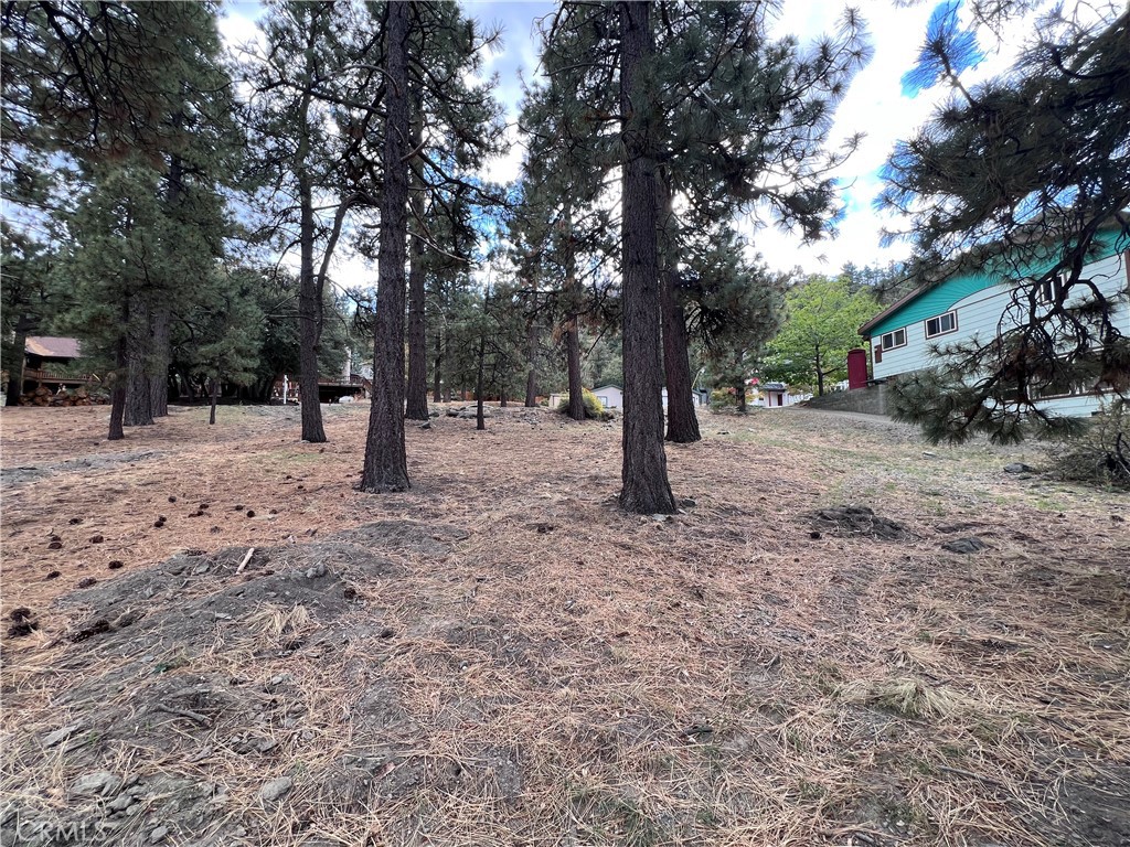 0 Timberline Dr Lot 13 Property Photo 5