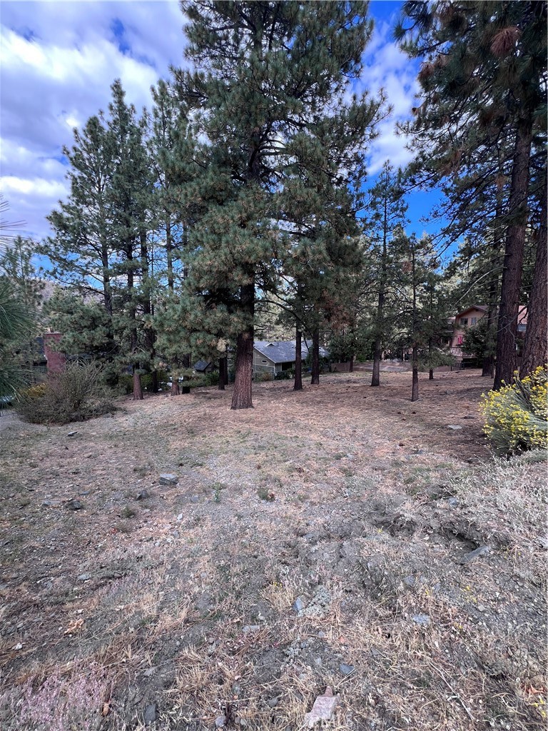 0 Timberline Dr Lot 13 Property Photo 8