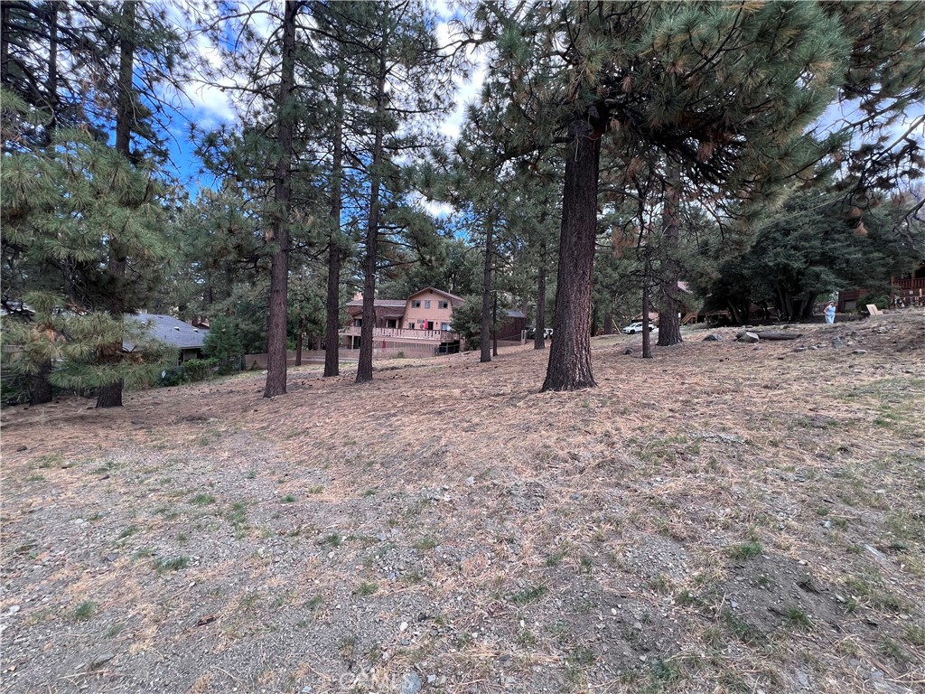 0 Timberline Dr Lot 13 Property Photo 12