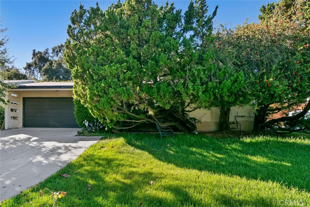 4561 Alveo Property Photo 1