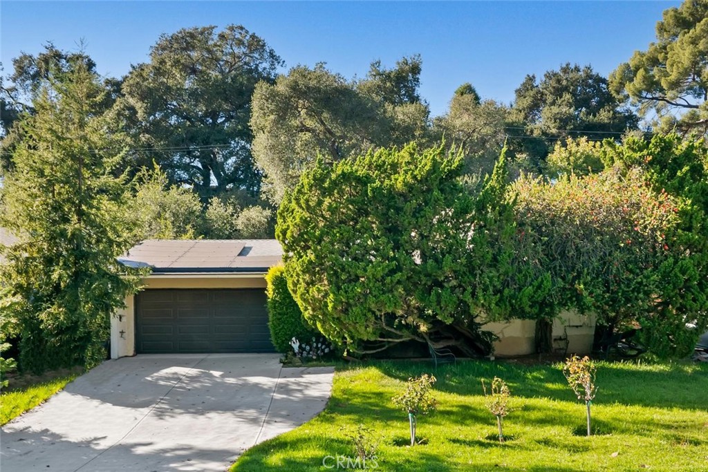 4561 Alveo Property Photo 2